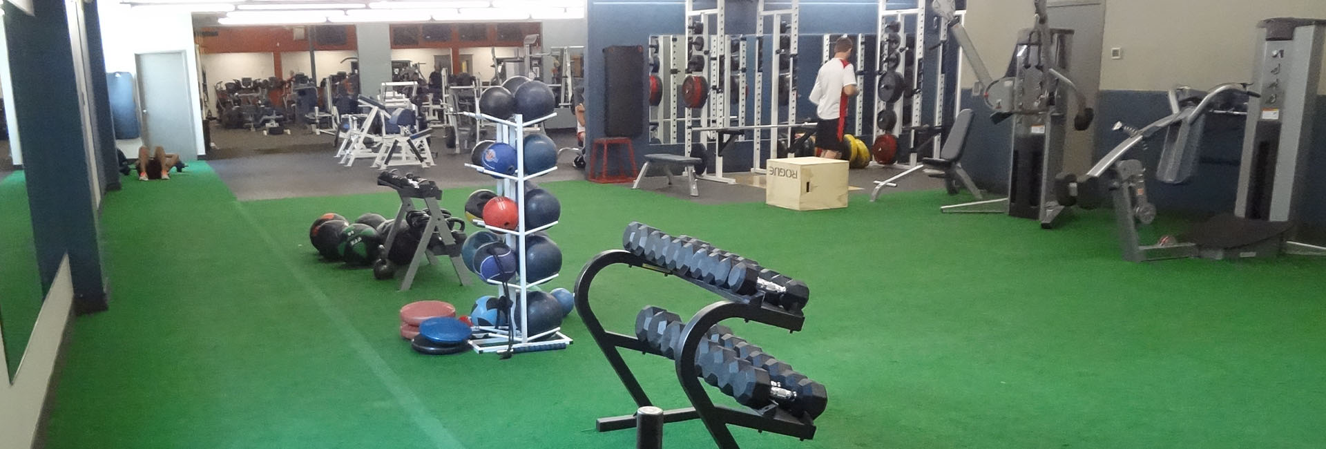 functional training area with gym equipment and a turf floor